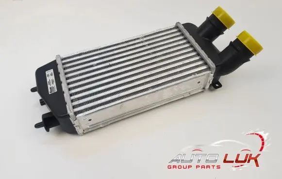 Citroen C3 Intercooler radiator 0384J3 96495
