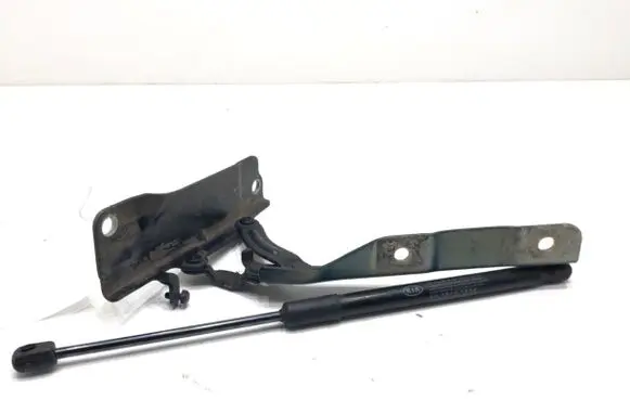 KIA Optima Engine bonnet/hood hinges 