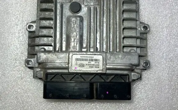 KIA Carnival Engine control unit/module 391044X910