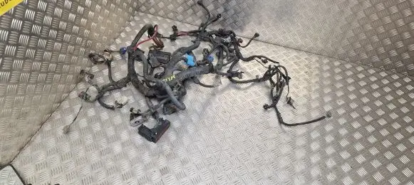 Chrysler Voyager Engine installation wiring loom