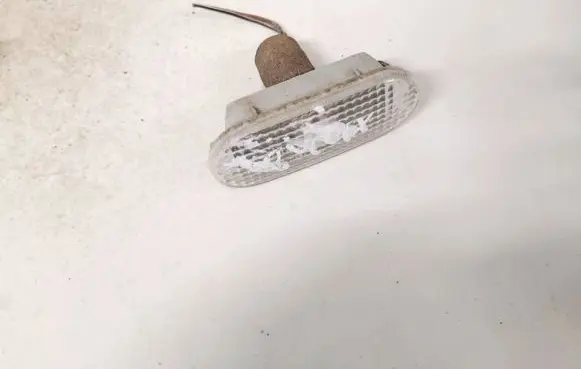 Front fender indicator light