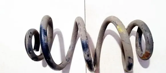 Nissan X-Trail T31 Rear coil spring