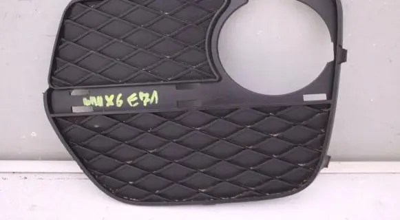 BMW X6 E71 Front bumper lower grill Vbuexbjfdhgv
