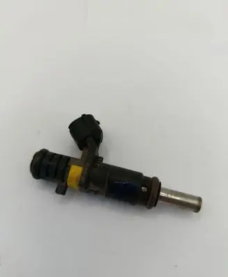 Citroen C3 Fuel injector 1984G7