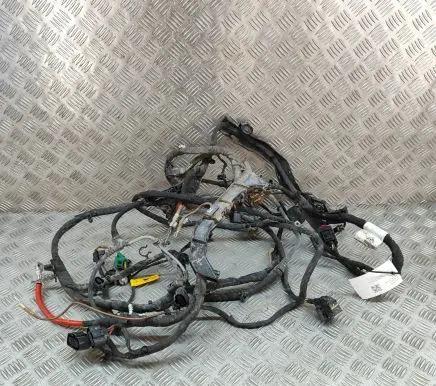 Skoda Enyaq iV Other wiring loom 5LA970250