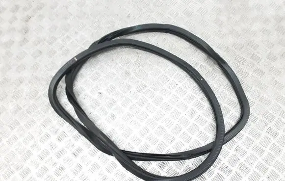 Chrysler Pacifica Front door rubber seal 