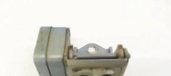 Rear door lower hinge