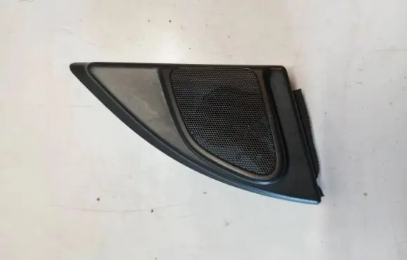 Front door high frequency speaker