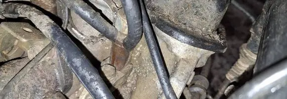 Volkswagen PASSAT B5 Fuel injector 