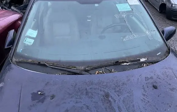Saab 9-5 Front windscreen/windshield window 