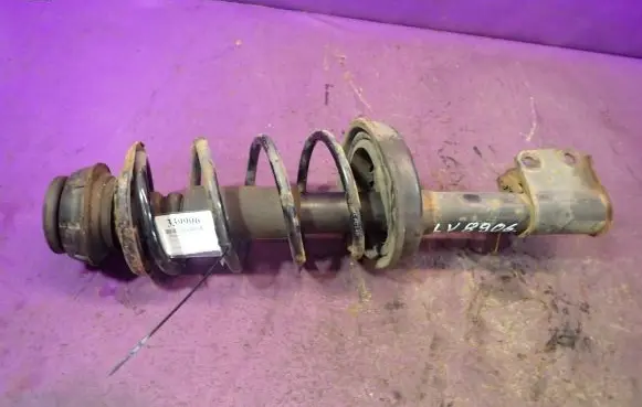 Fiat Punto (188) Front shock absorber with coil spring
