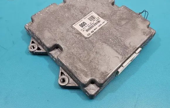 Engine control unit/module ECU