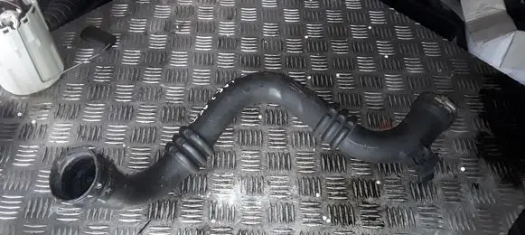 Renault Laguna II Intercooler hose/pipe 8200295043