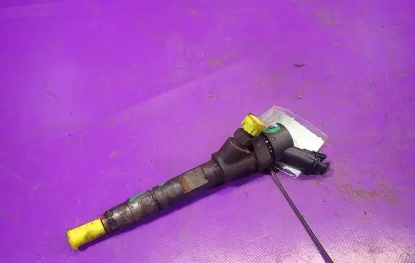 Renault Scenic II - Grand scenic II Fuel injector 
