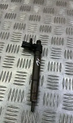Land Rover Range Rover Evoque L538 Fuel injector 9687454480