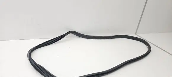 Volvo V60 Rear door rubber seal (on body) 895291