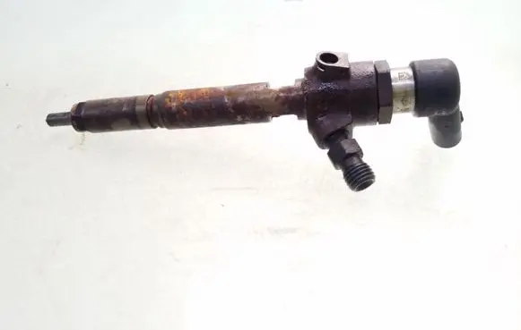 Renault Scenic II - Grand scenic II Fuel injector 8200380253 H8200294788