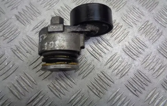Renault Scenic II - Grand scenic II Alternator belt tensioner pulley 