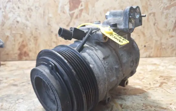 KIA Carnival Air conditioning (A/C) compressor (pump) 13250-25600
