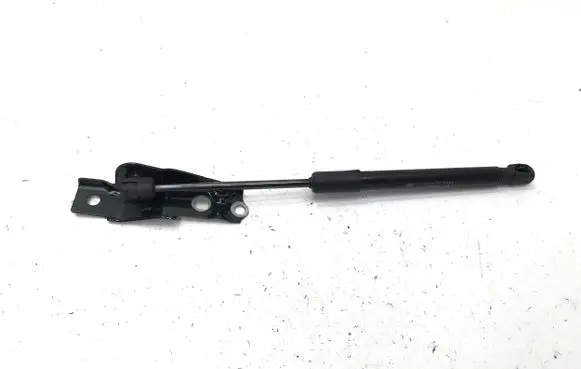 BMW 2 Active Tourer U06 Front bonnet/hood damper/strut 8737114