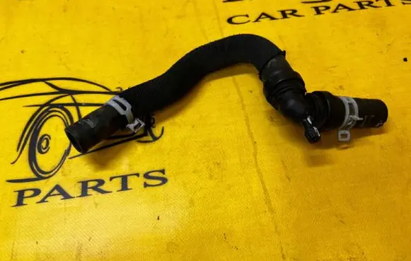 Dacia Sandero III Engine coolant pipe/hose 924102426R