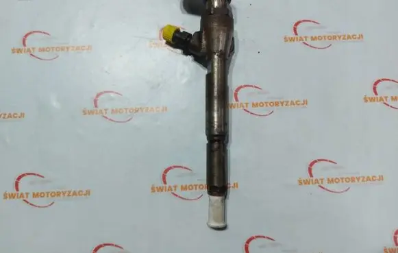 Nissan Qashqai Fuel injector H8200294788
