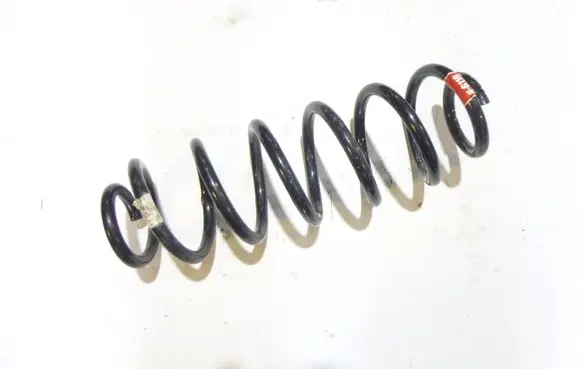 Rear coil spring