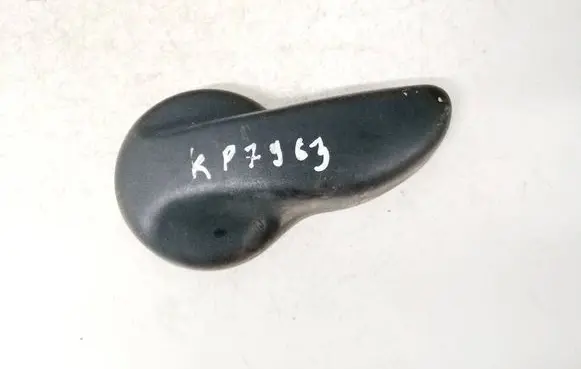 Renault Espace - Grand espace IV Other interior part 5101856