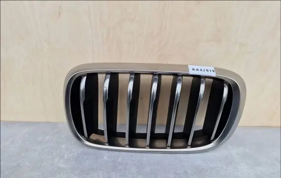 BMW X6 F16 Front grill 51137349387
