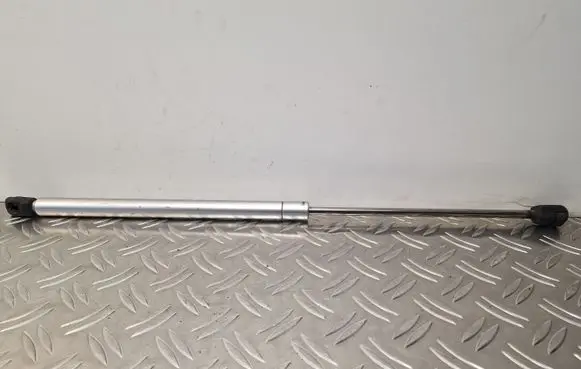 Tailgate/trunk strut/damper