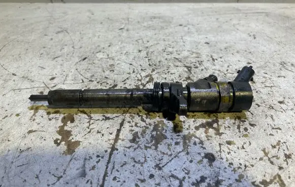 Citroen C4 I Fuel injector 0445110239