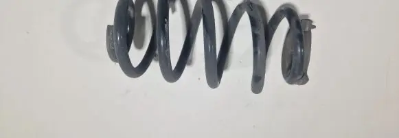 BMW X2 F39 Rear coil spring