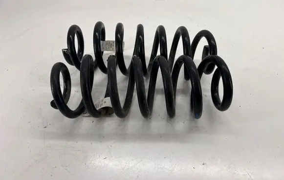 Ford Bronco Rear coil spring LX615560BNF