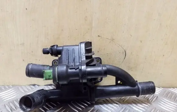 Thermostat/thermostat housing