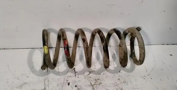 Chevrolet Captiva Rear coil spring