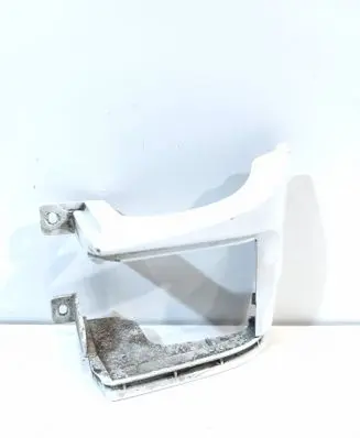 Rear/tail light trim molding