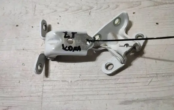 Hyundai Kona I Rear door hinge set 