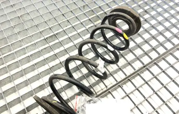 Rear coil spring