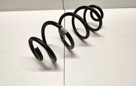 Rear coil spring