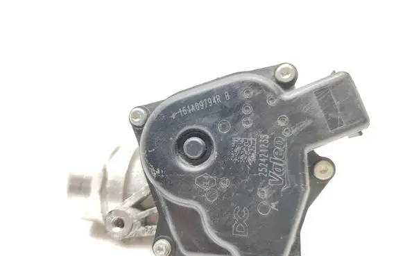 Dacia Sandero Throttle valve 161A09794R