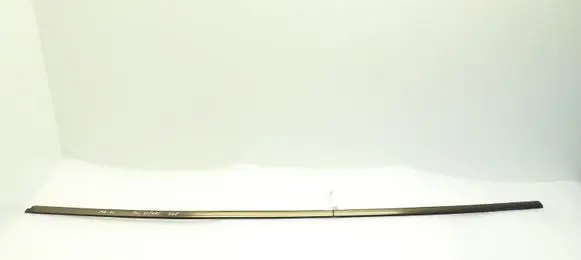 Mercedes-Benz CL C215 Front door glass trim molding 