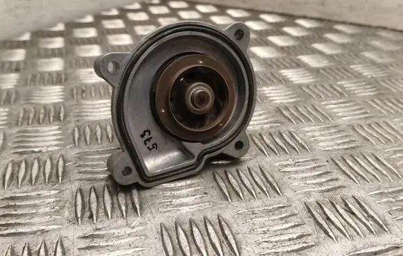 Volkswagen Polo IV 9N3 Water pump 980263