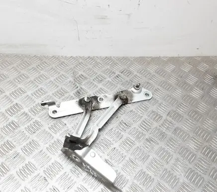 Volvo S80 Tailgate/trunk/boot hinge 236UGD9E