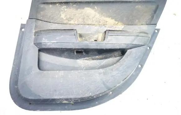 Chrysler 300 - 300C Rear door card panel trim 1db761dvac