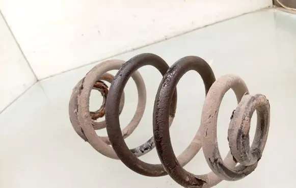 Rear coil spring