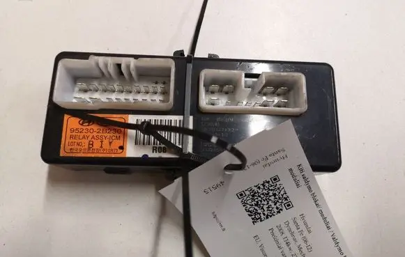 Hyundai Santa Fe Other control units/modules 952302B230