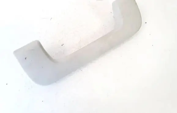 Front interior roof grab handle