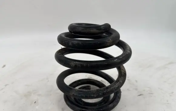 Rear coil spring