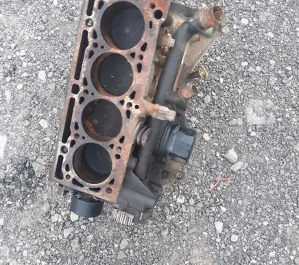 Renault Kangoo I Engine block 