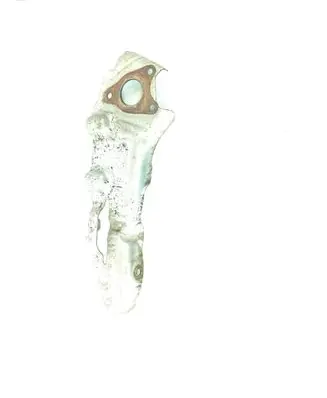 Renault Trafic III (X82) Exhaust heat shield 140133244R